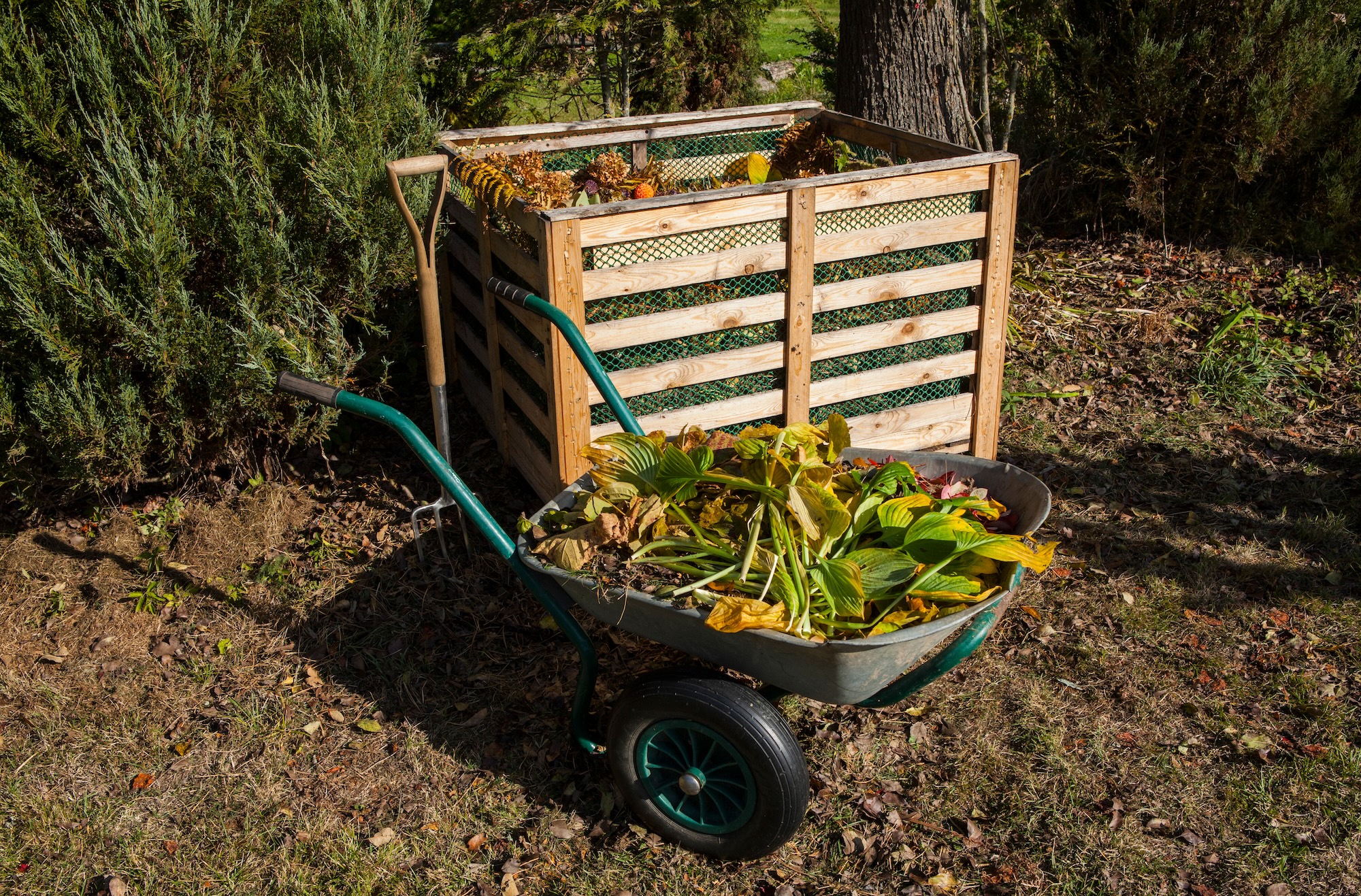 Compost